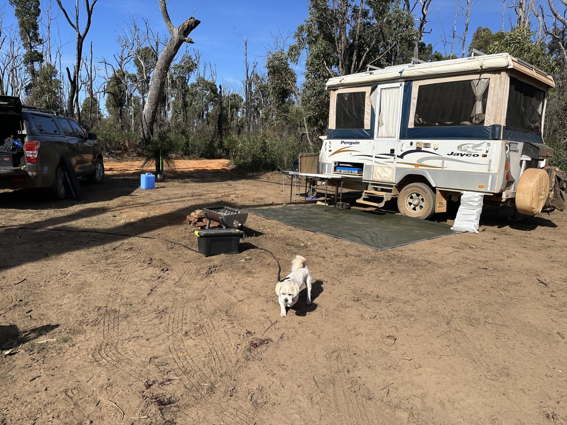 Murray Valley Camping
