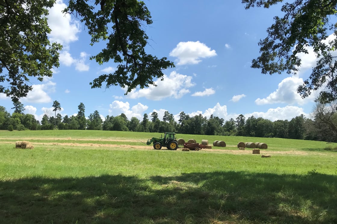 Baling hay in the south field