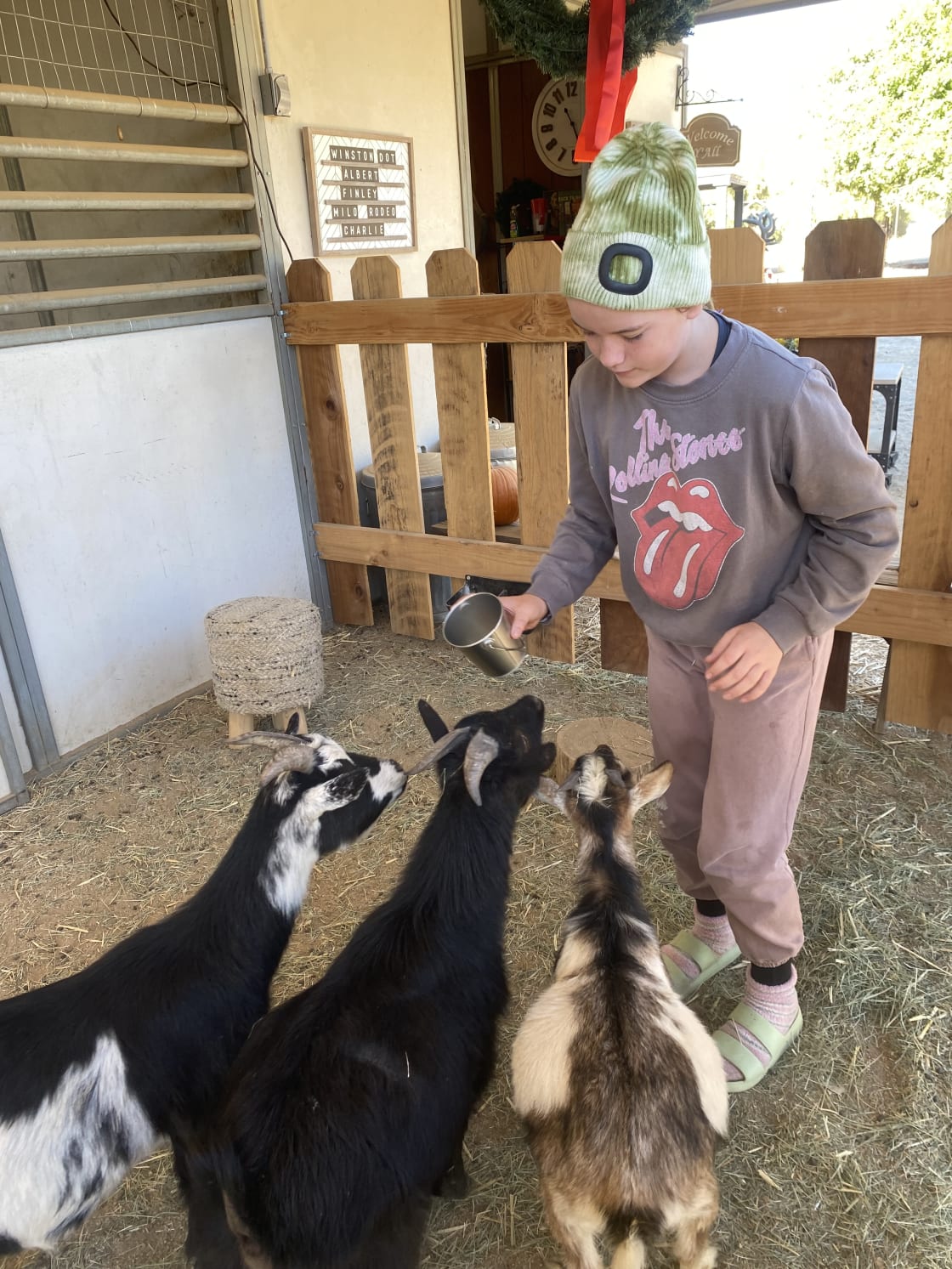 Farm Experience with Petting Zoo