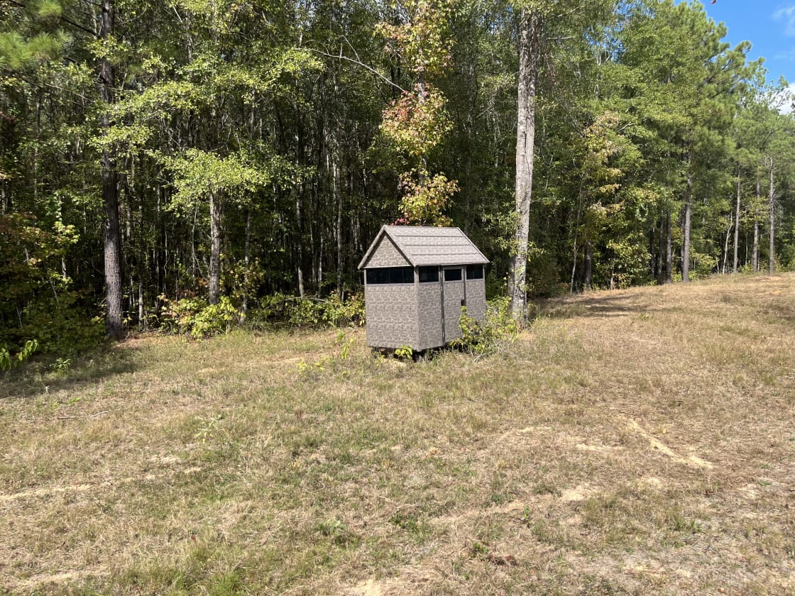 Camping area/hunting stand 