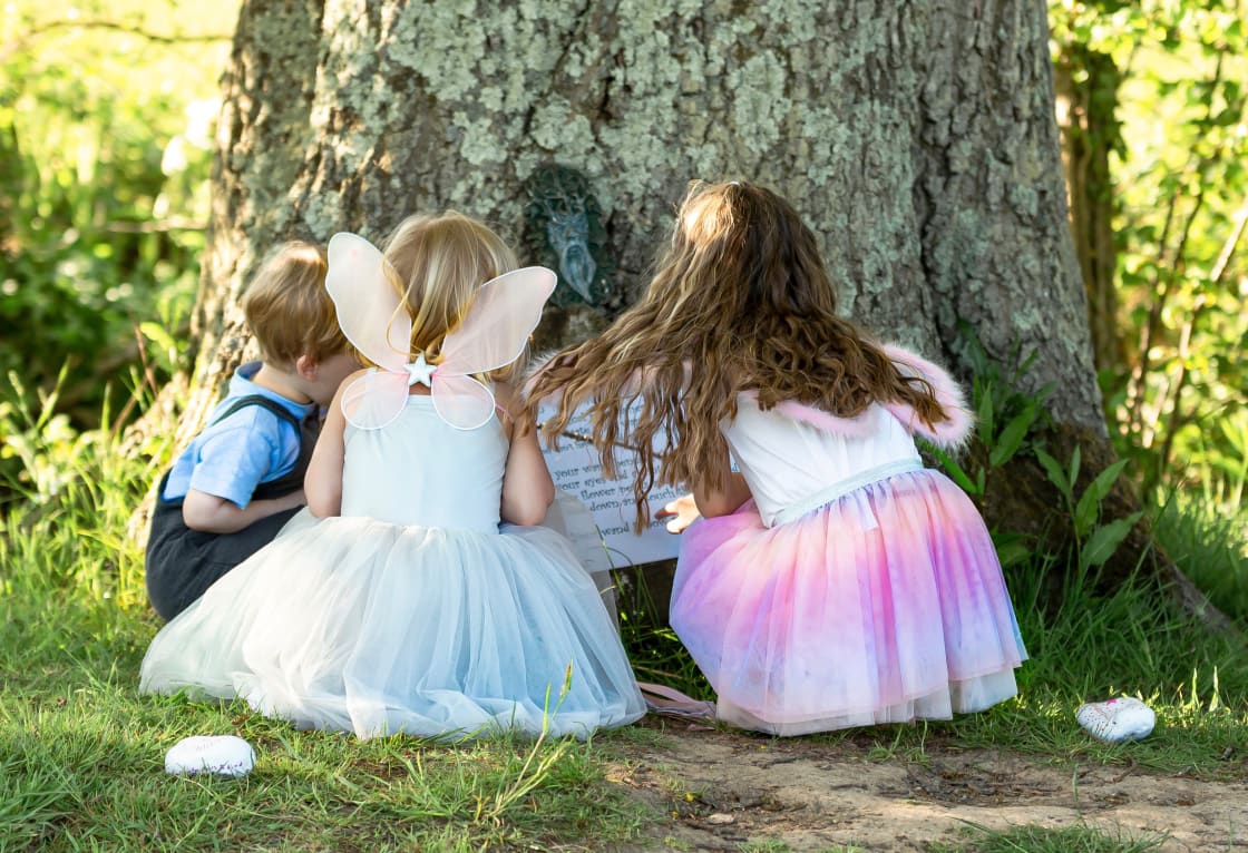 We have fairy trail at the farm which leads you from the campsite up to the farm garden where there is a fairy yurt yurt with dress up clothes for the children.