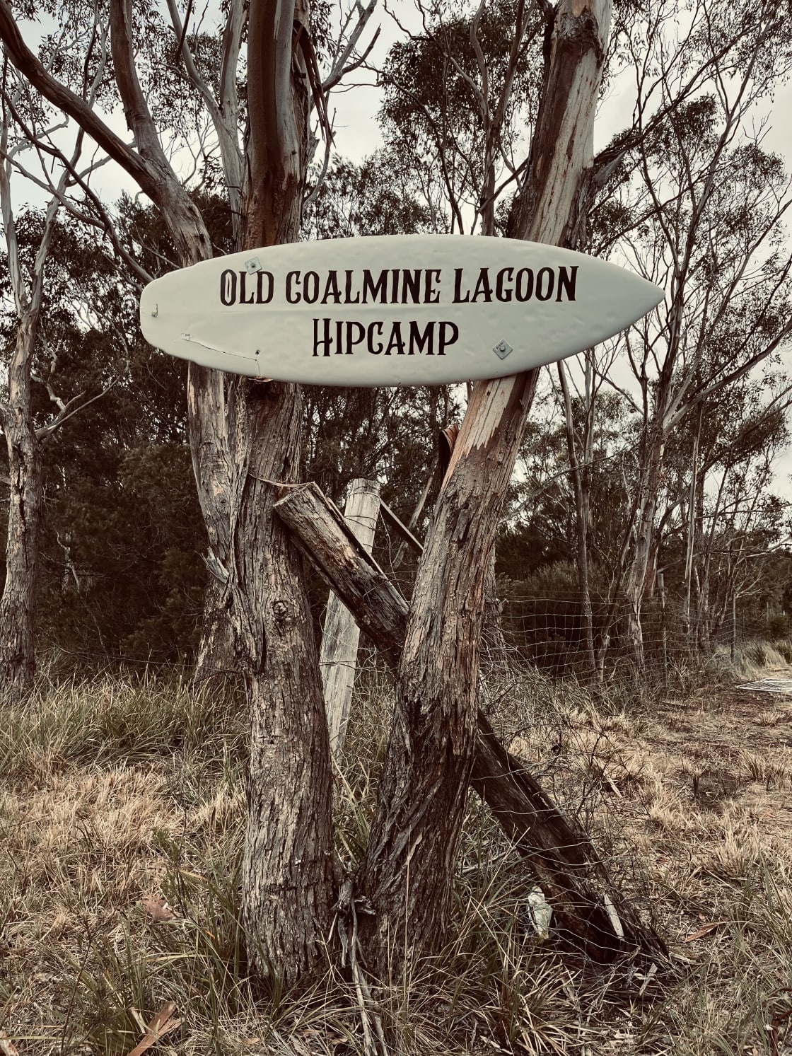 Old Coalmine Lagoon