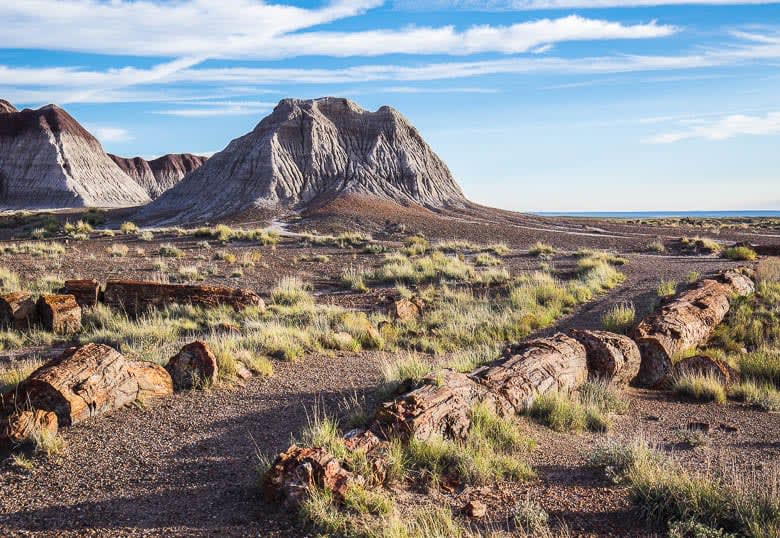 Petrified Forest Campgrounds RV