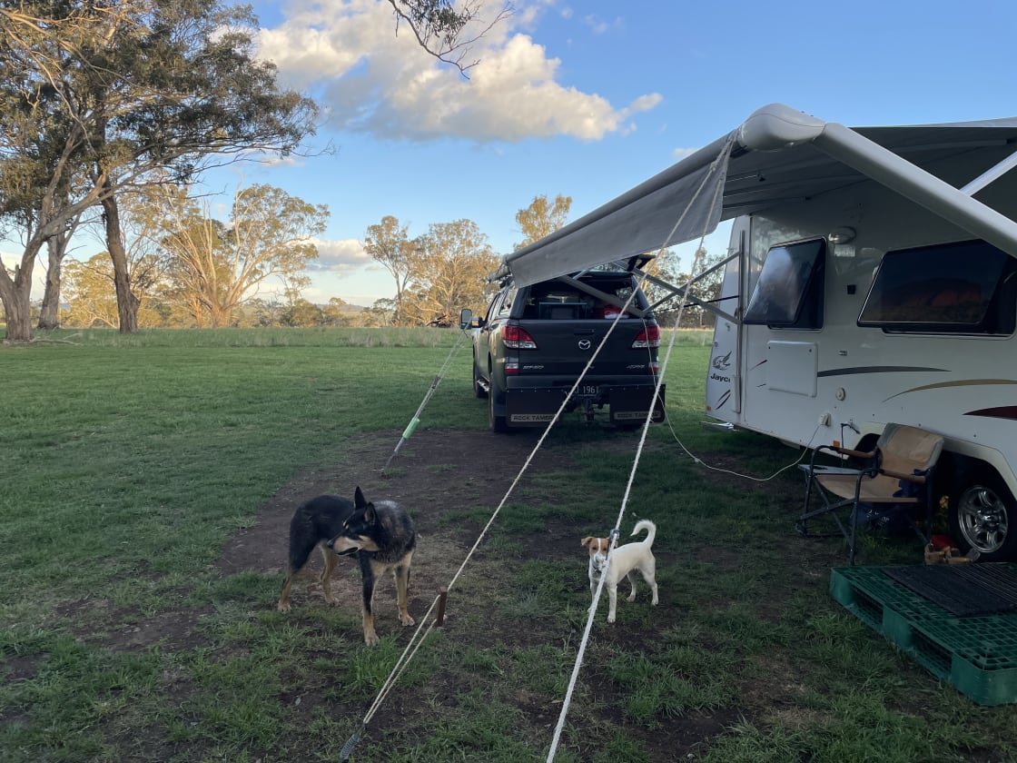Dog friendly open camp sites