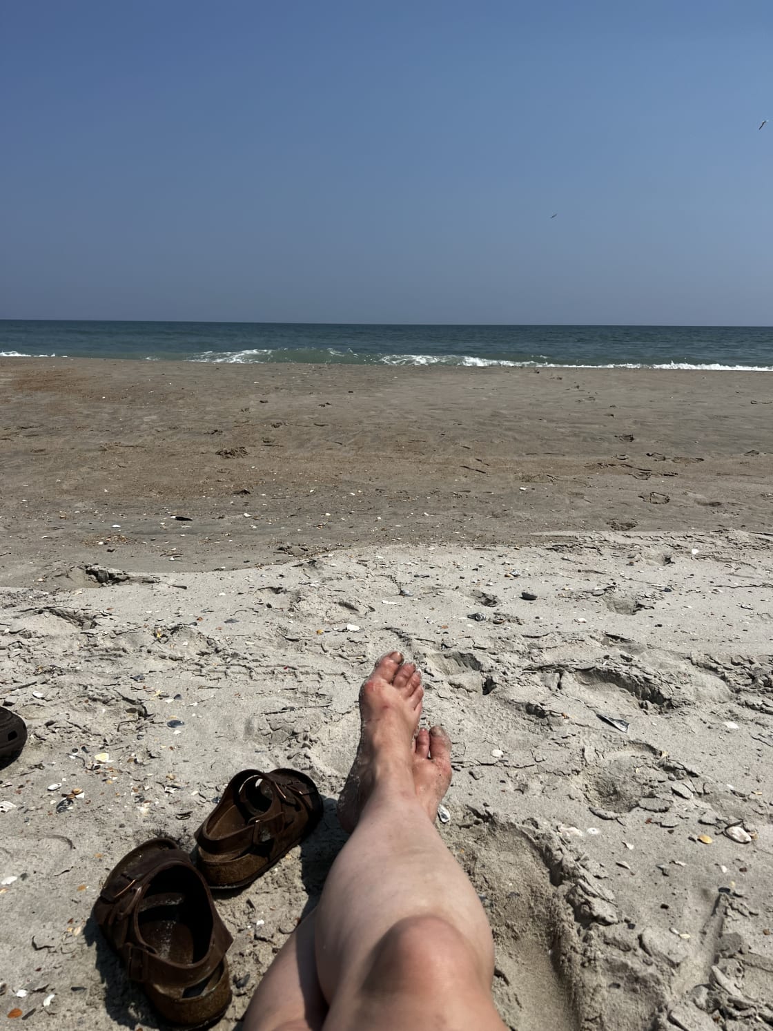 Ocracoke beaches are lovely !! Almost always quiet with very few people on them !  