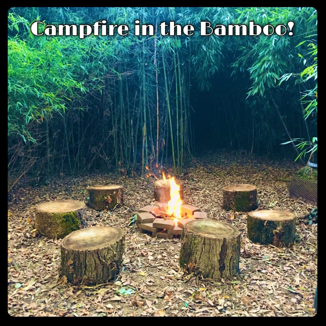 Bamboo Forest Campsite