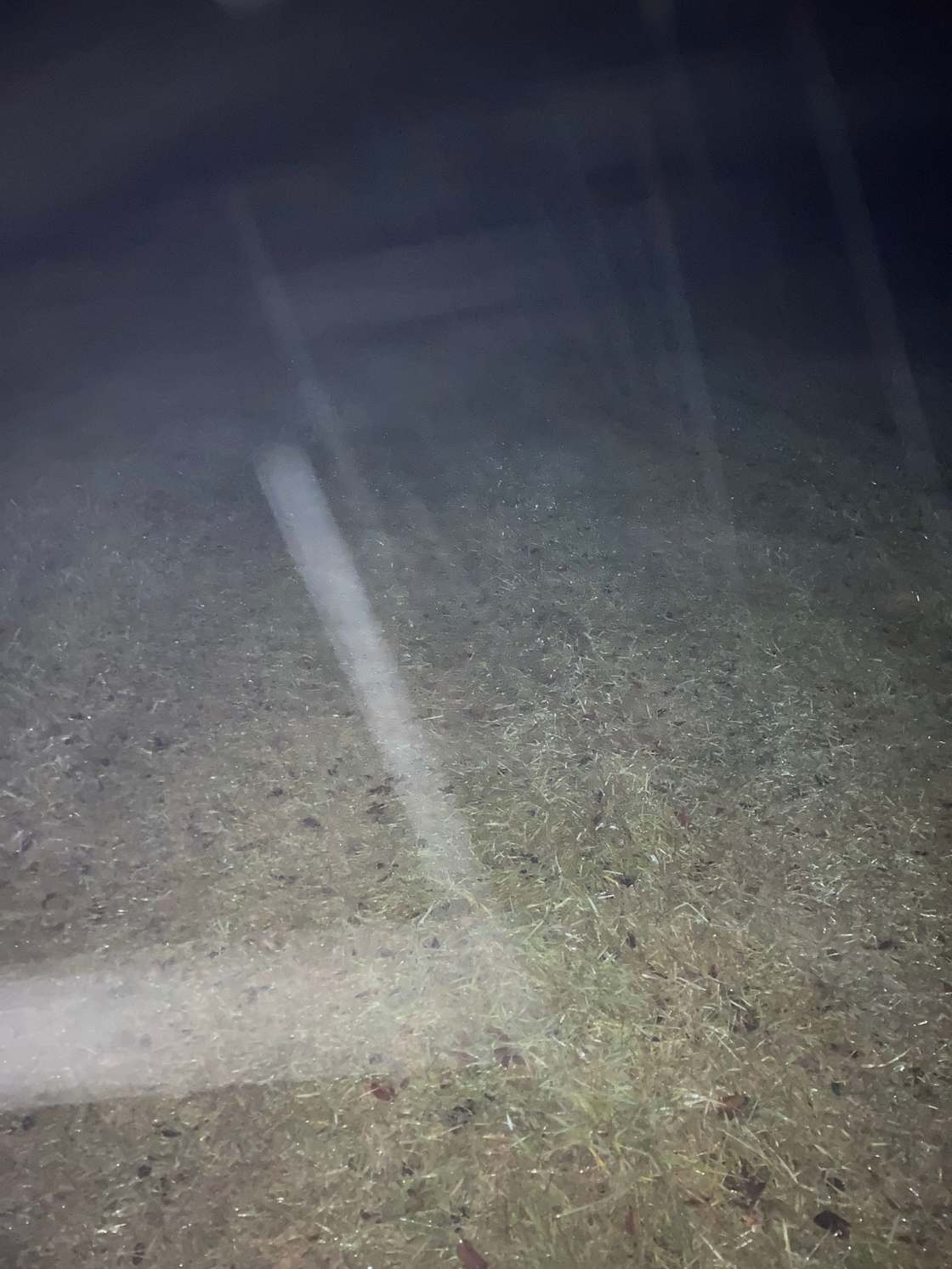 Harvest Moon