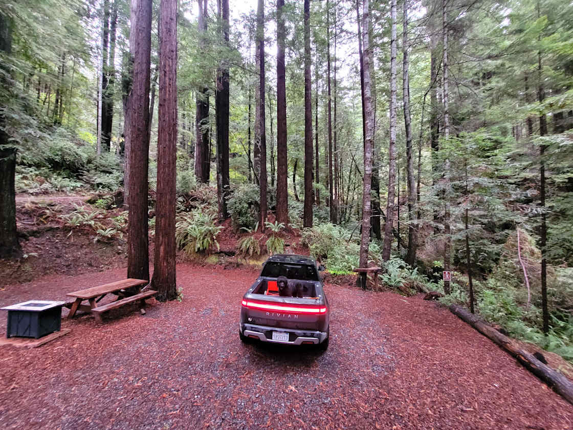 Whispering Redwood Creek