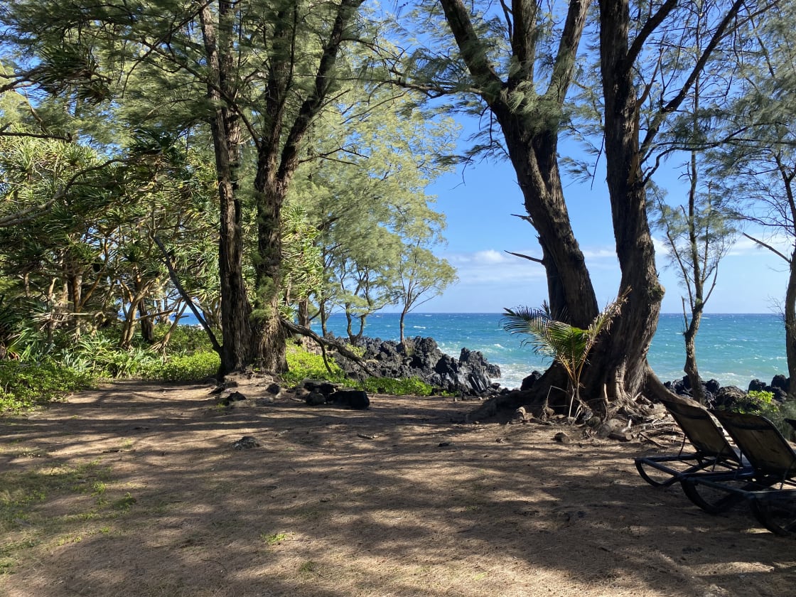 Maui OceanFront Oasis Road to Hana