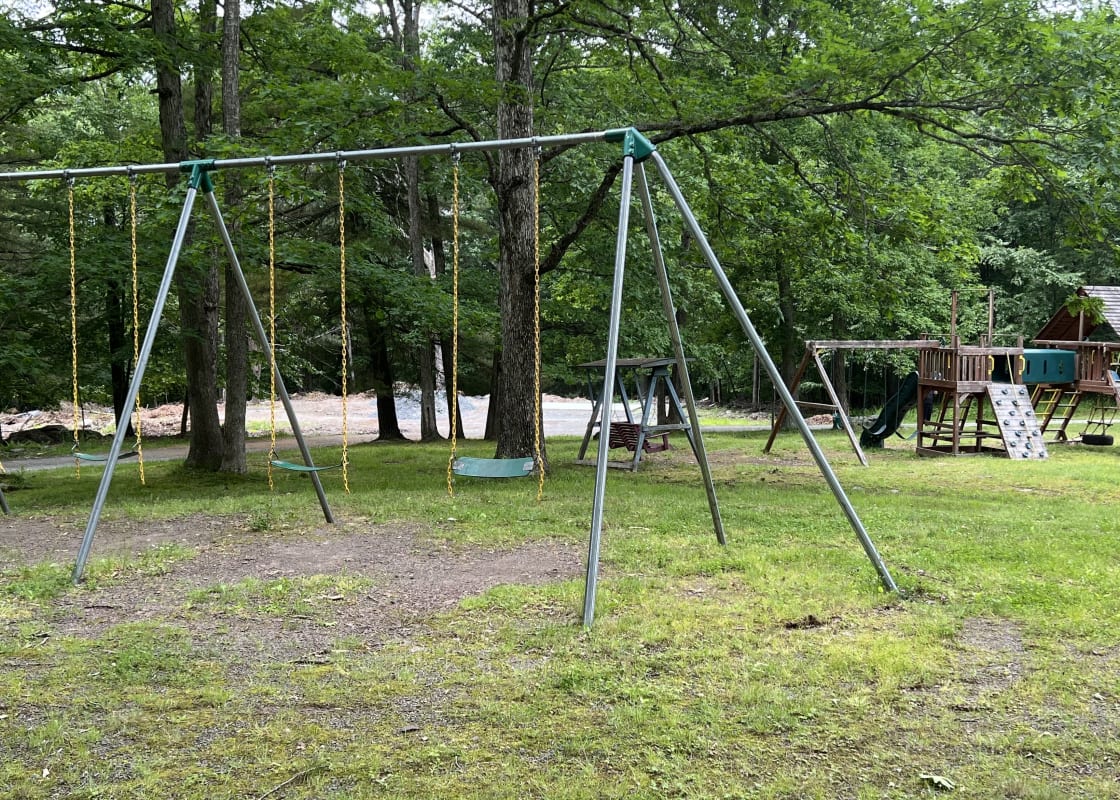 Big Bear swings in playground