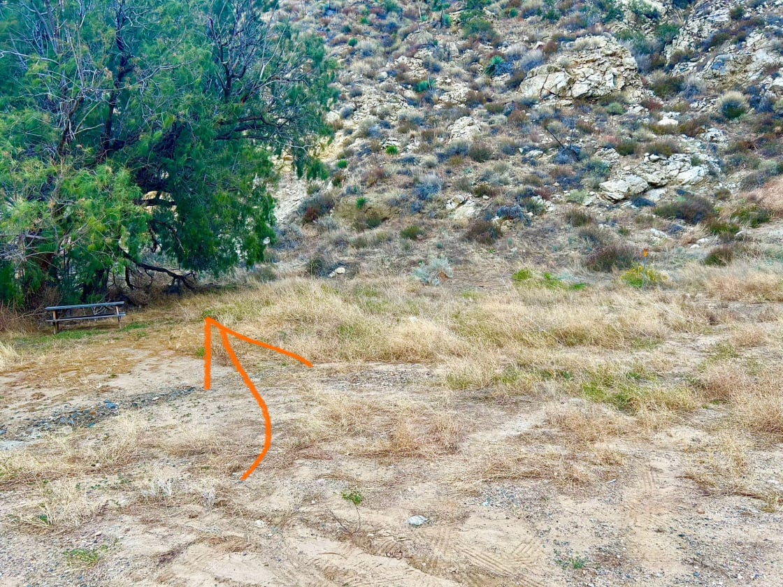 The arrow points to one of two potential tent areas at the same campsite. 