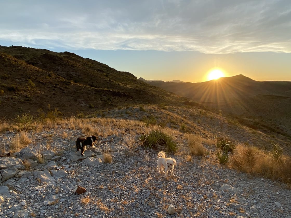 The ridge above Terlingua Ranch overlooking Big Bend National Park. We are a pet friendly campgound. 