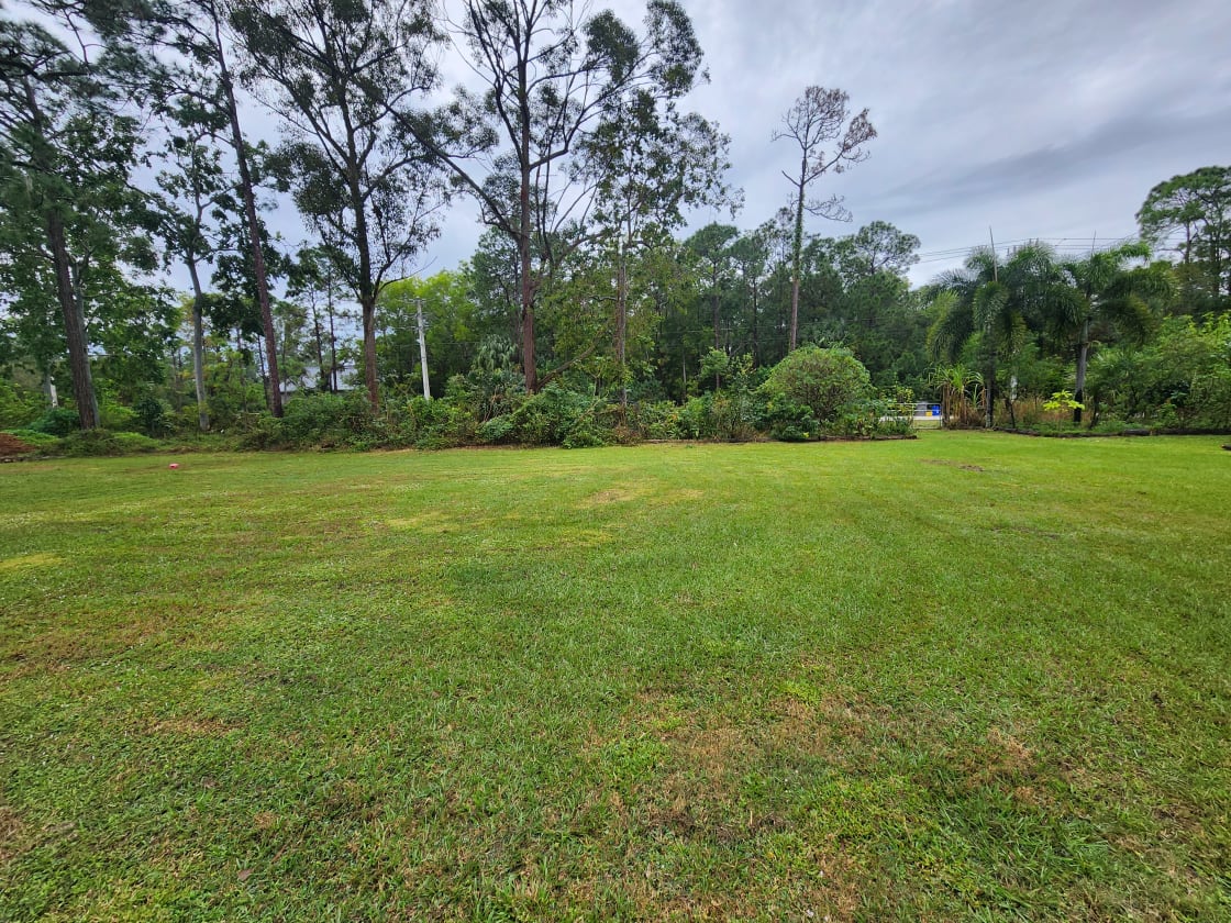 Open spaces with a view of our tropical food forest