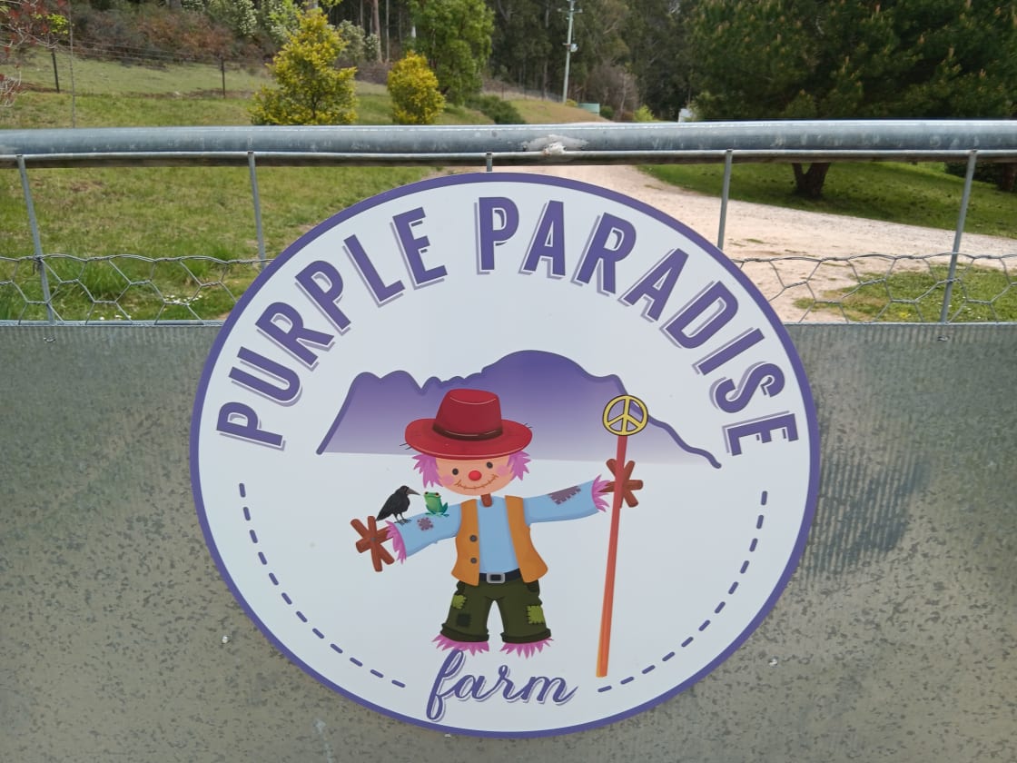 Purple Paradise Farm