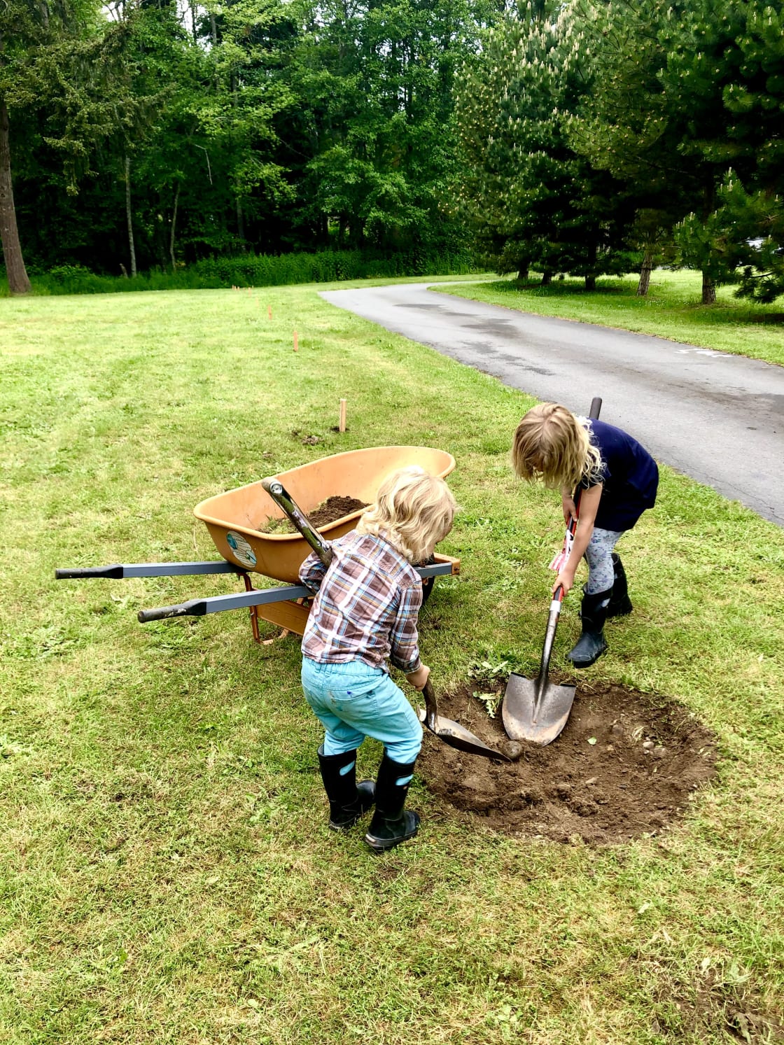 Getting ready to plant the orchard in 2020: More pictures coming Summer 2024.