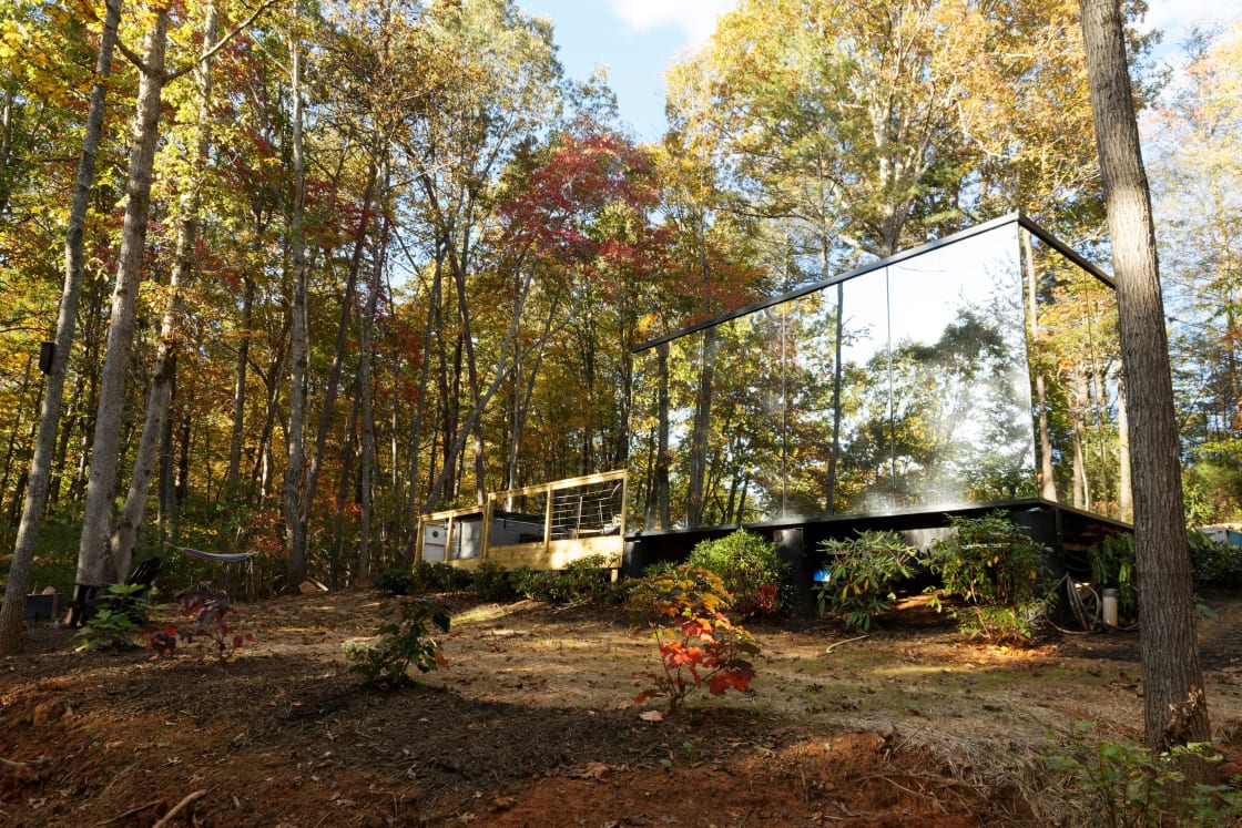 The mirrored 1-way glass reflects your nature surroundings.