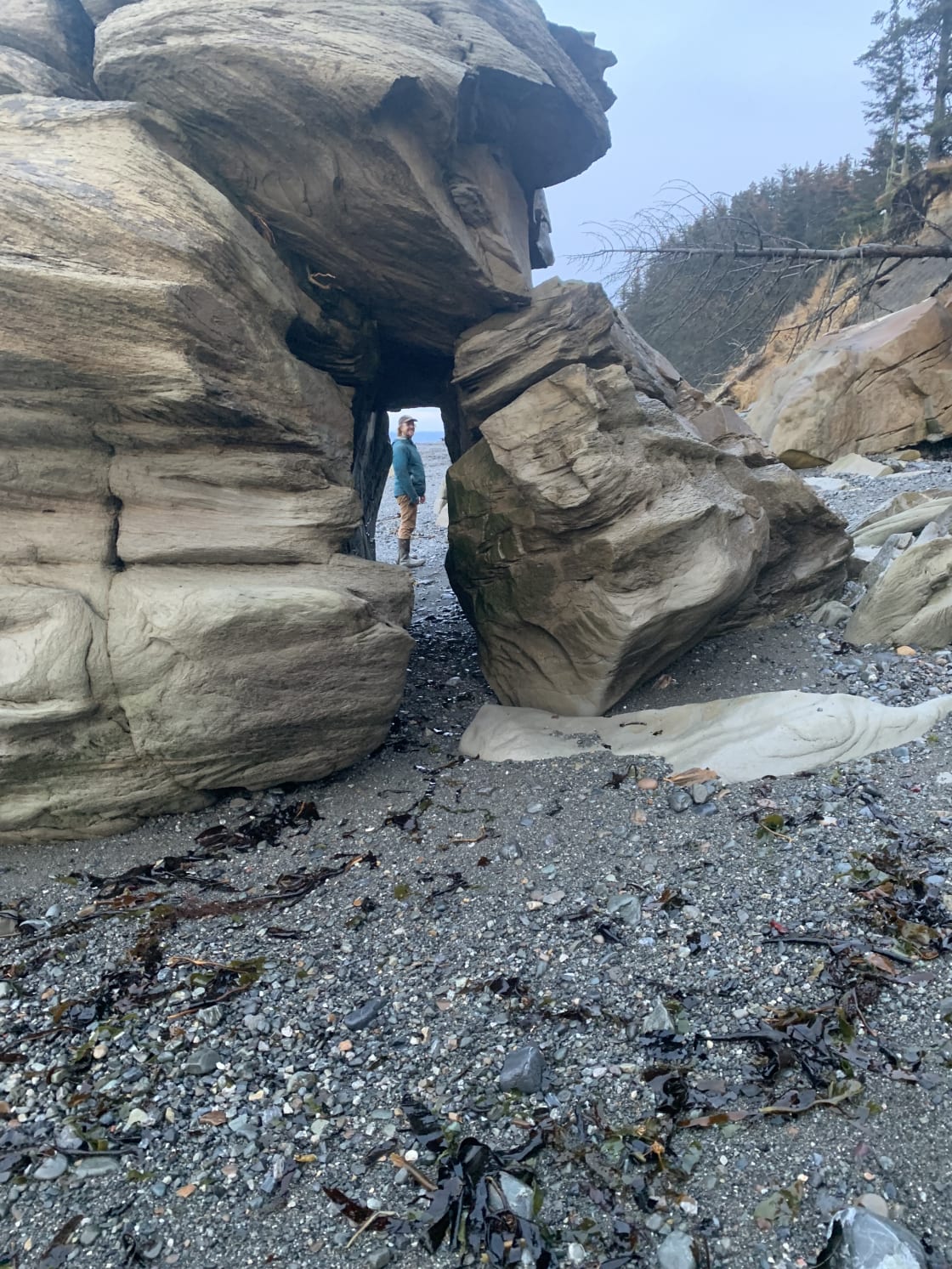 A vigorous hike down the bluff trail has some cool features on the beach