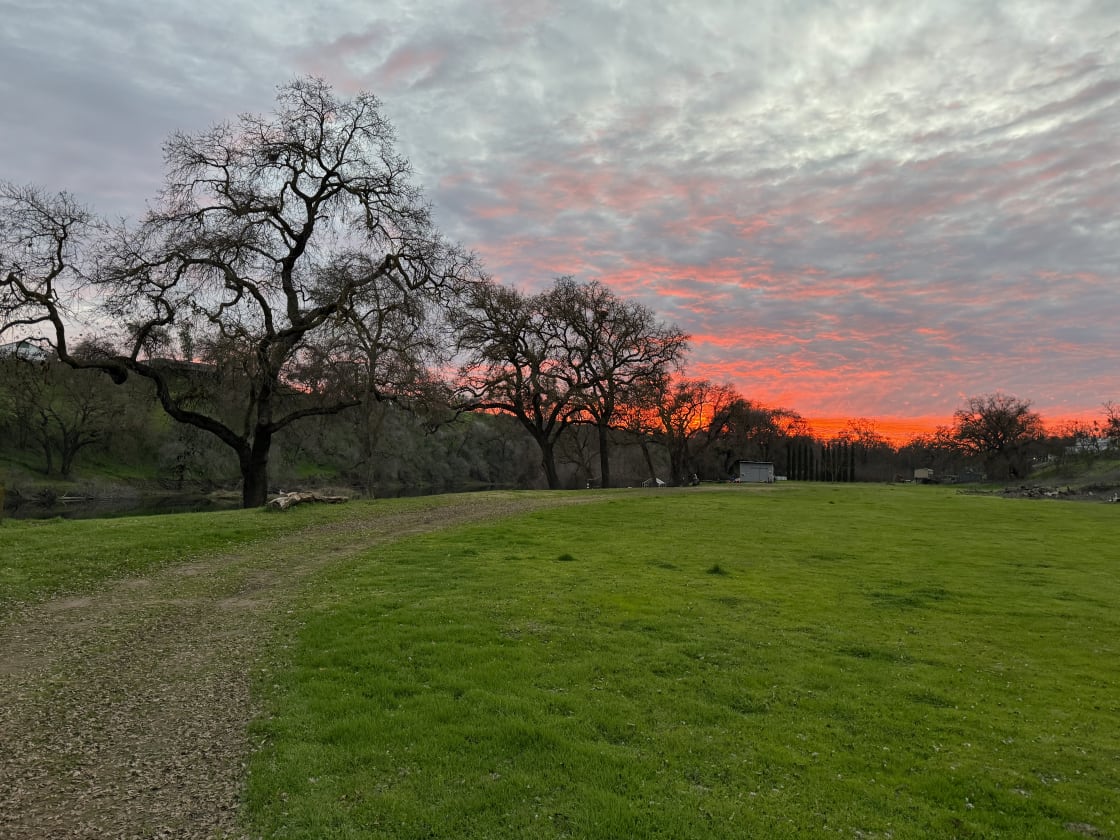 Just another beautiful mid-winter sunset here at Cole Ranch. 