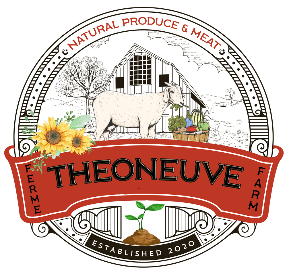 Ferme Theoneuve Farm