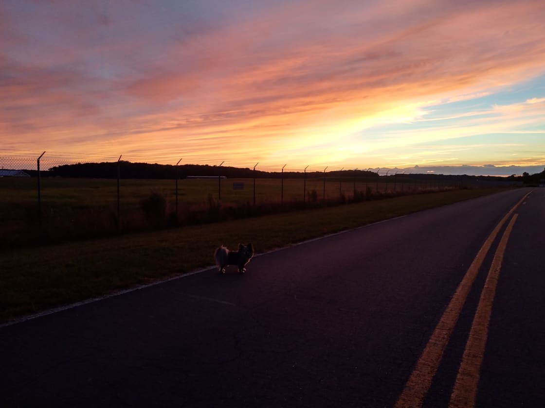 Fall sunsets over Runway 14 are some of best you'll ever see. This view is from the end of our driveway and pairs best with a glass of local wine.