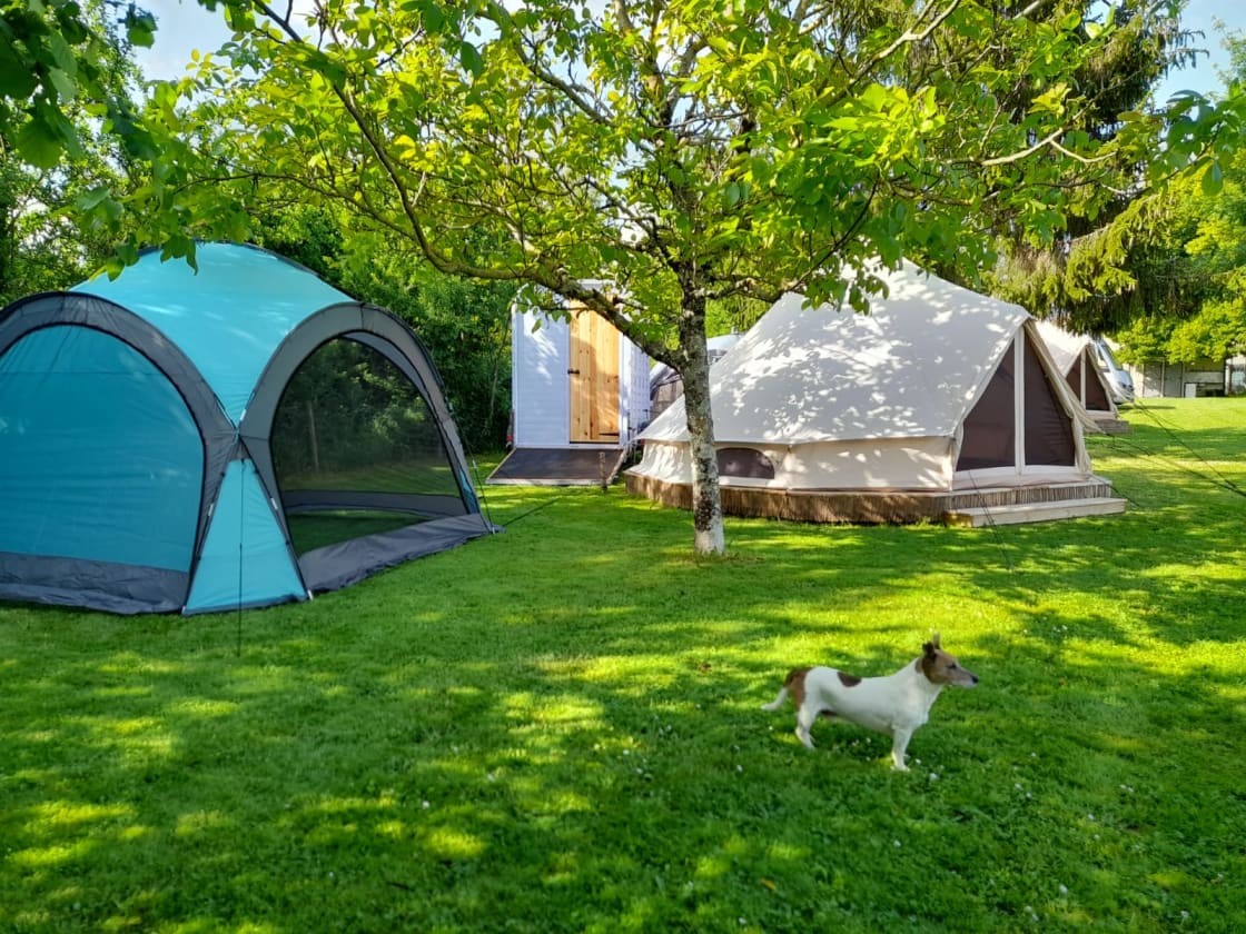 Mademoiselle Lavander glamping pitch. Pet friendly with 5m Bell tent for sleeping, Camping kitchen, and Horsebox trailer bathroom