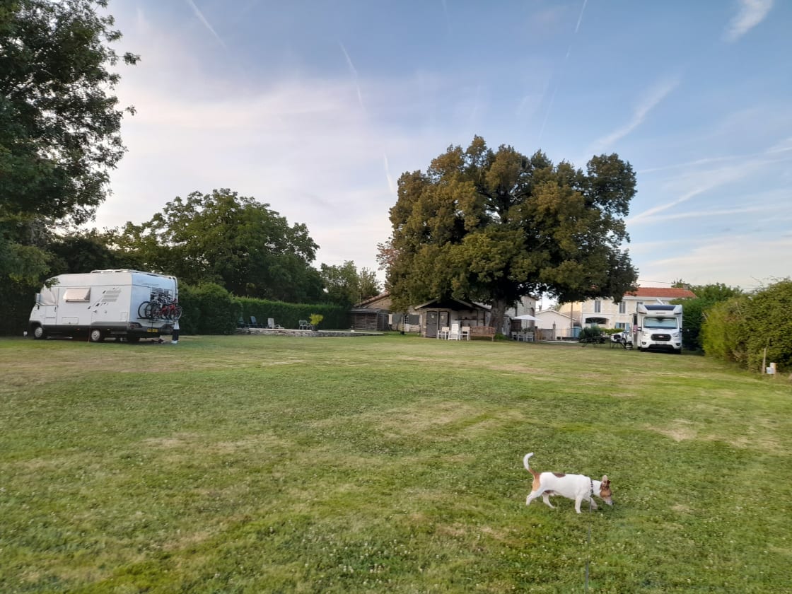 Fully serviced pitch on the left with motorhome
1 EHU pitch on the right with motorhome