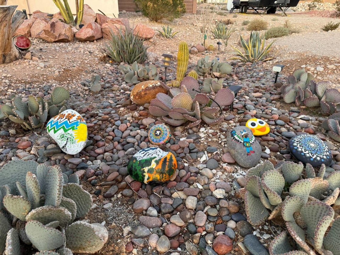 Cactus Rock Garden