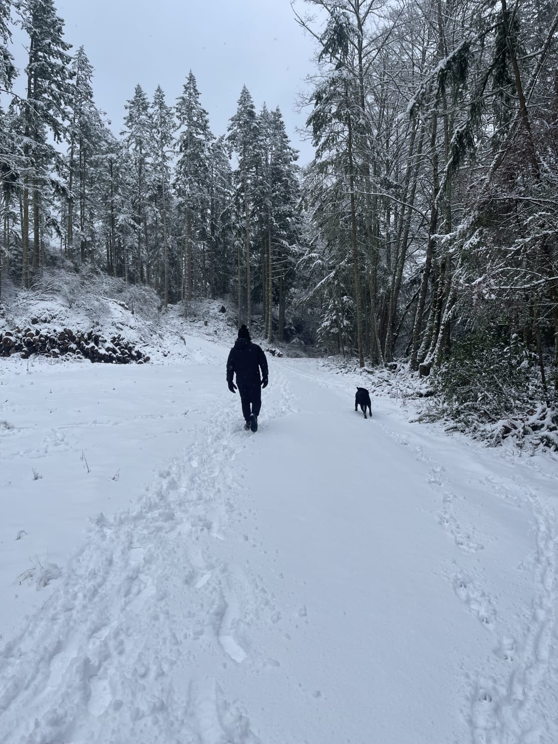 Gorgeous Winter hikes, through the  snow…