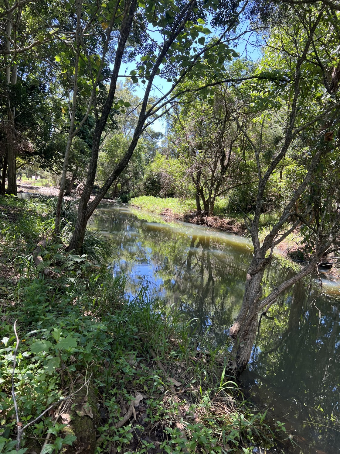 Cockatoo Creek