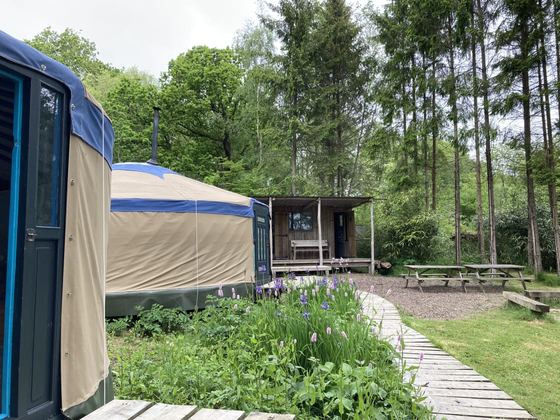 Barefoot yurts and  Safari Tent