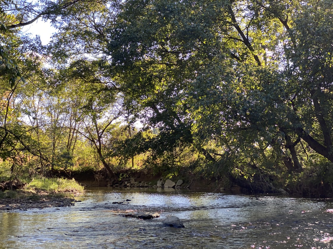 The trout stocked Conowingo Creek is perfect for fishing, wading or plopping a chair down into to escape the summer heat. 