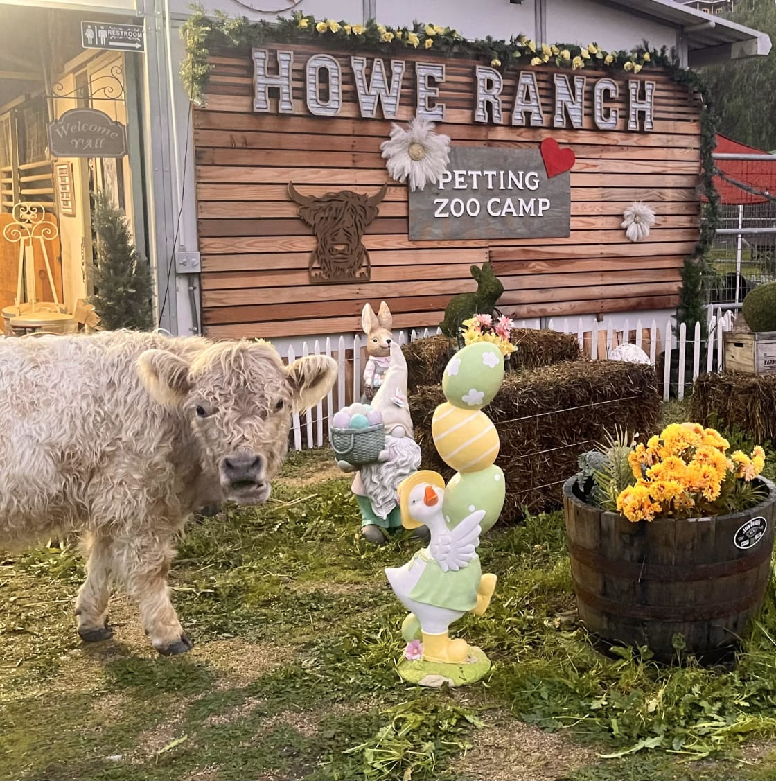 Howe Ranch Petting Zoo Camp