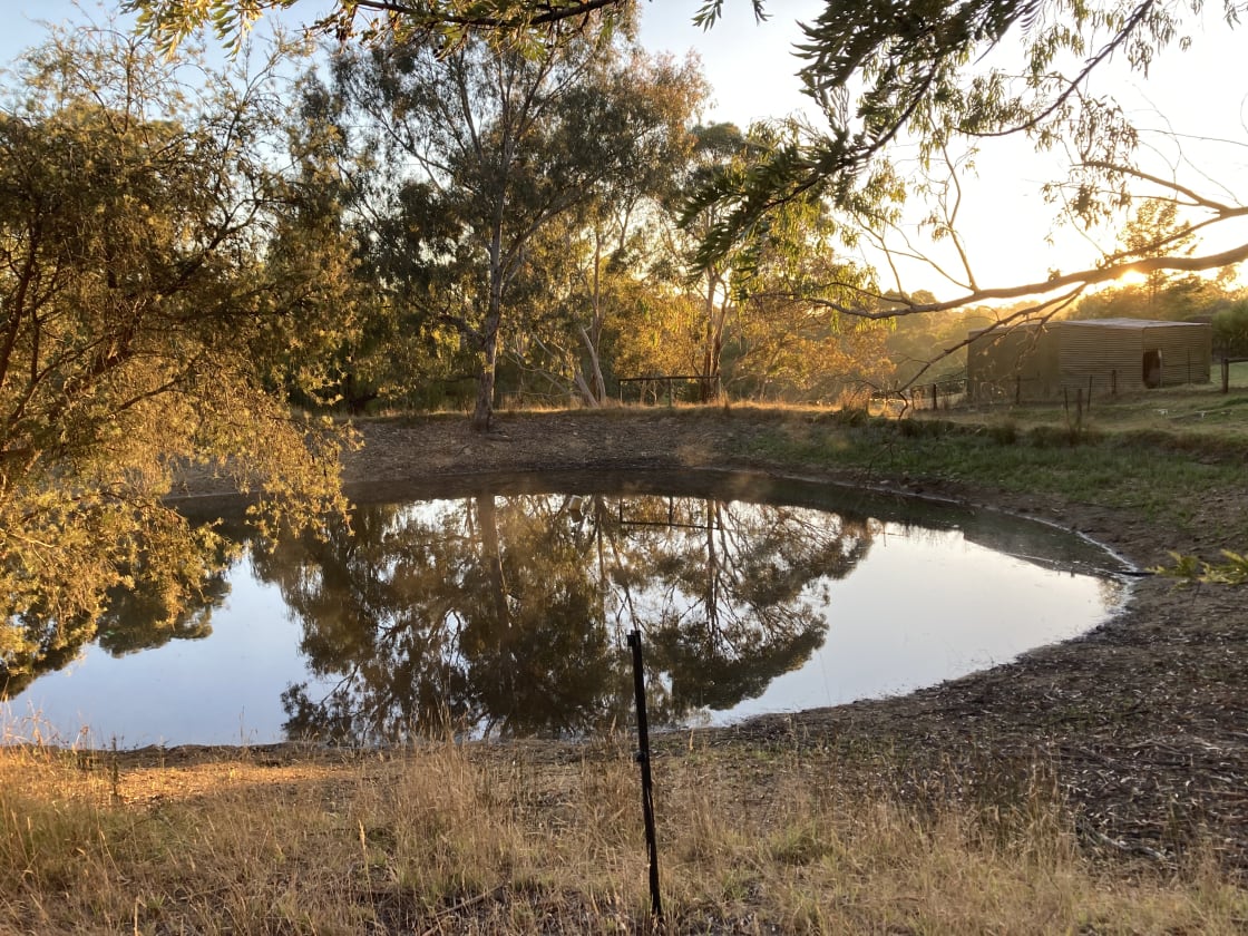 One of dams by the Hill and Gums campsites