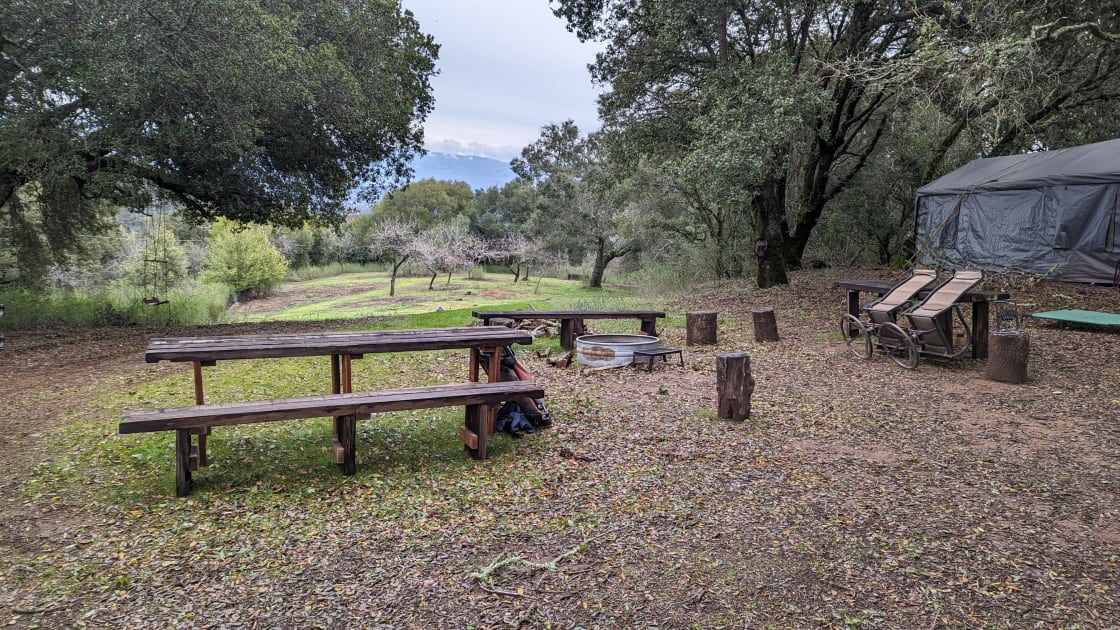 Fire pit, 2 picnic tables, benches and chairs
