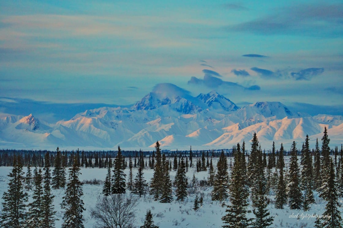 View of Denali from the cabin.  We have guests from all over the world come to enjoy a view of the highest mountain in North America!