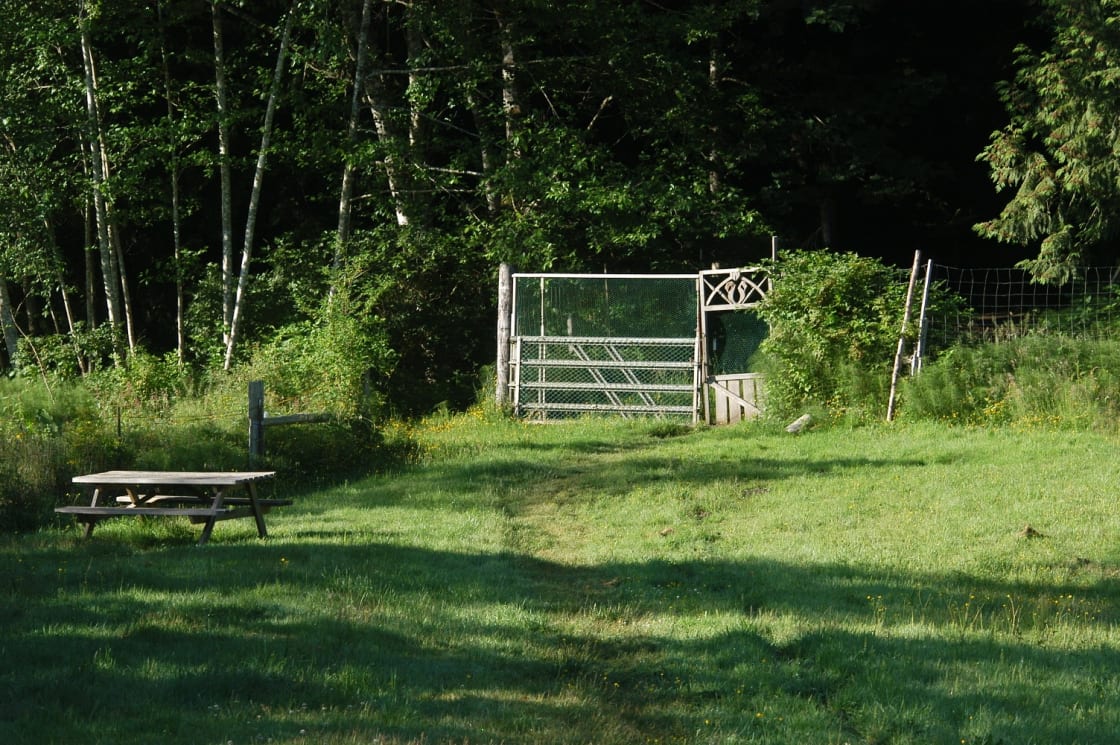 gate to meadow