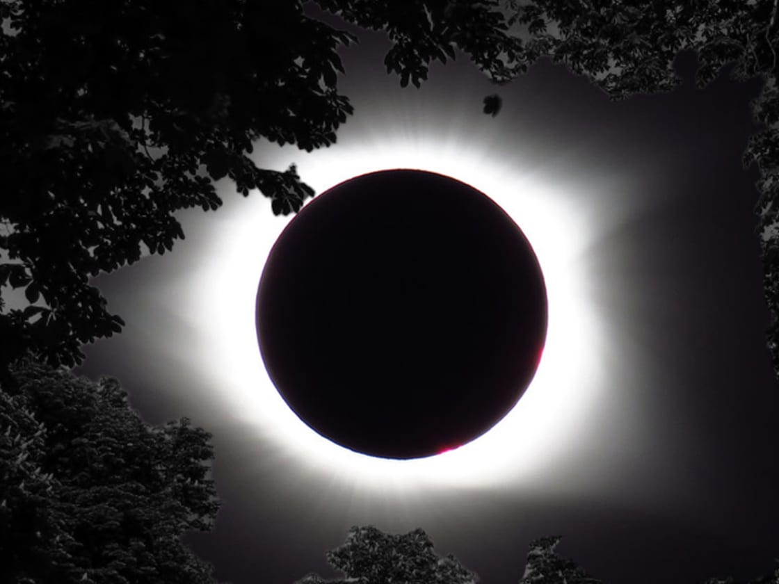 Solar Eclipse, April 8 at 75woods
