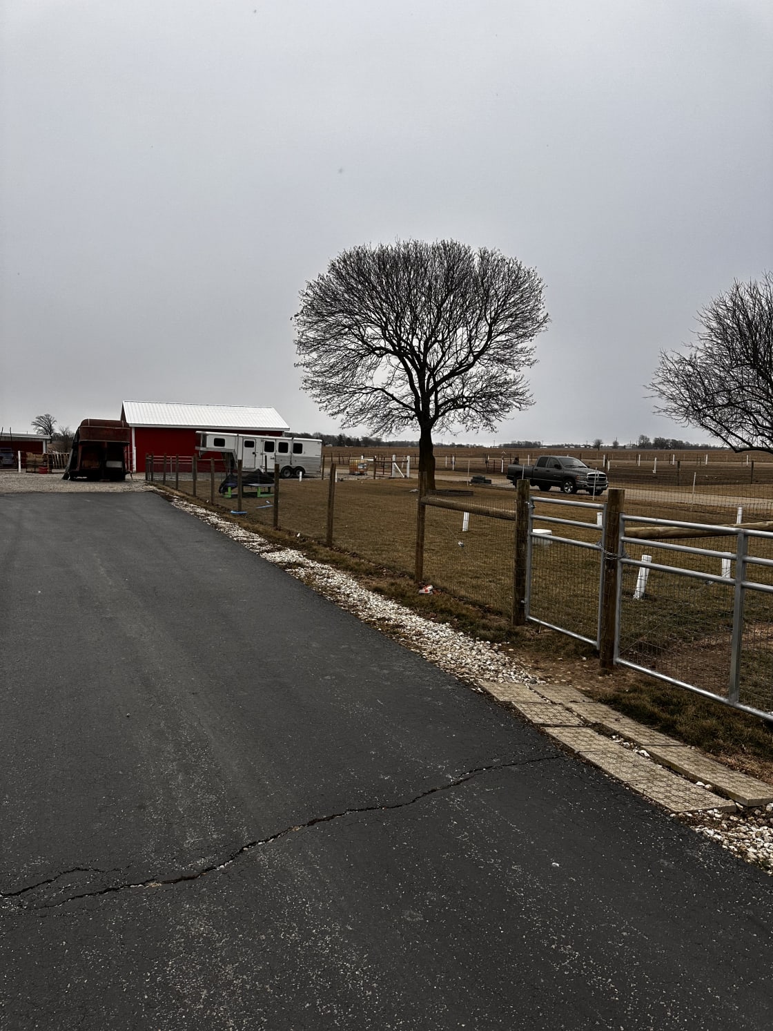 Race Horse Farm