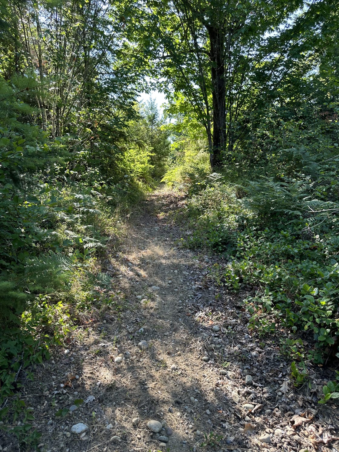 Walking trails