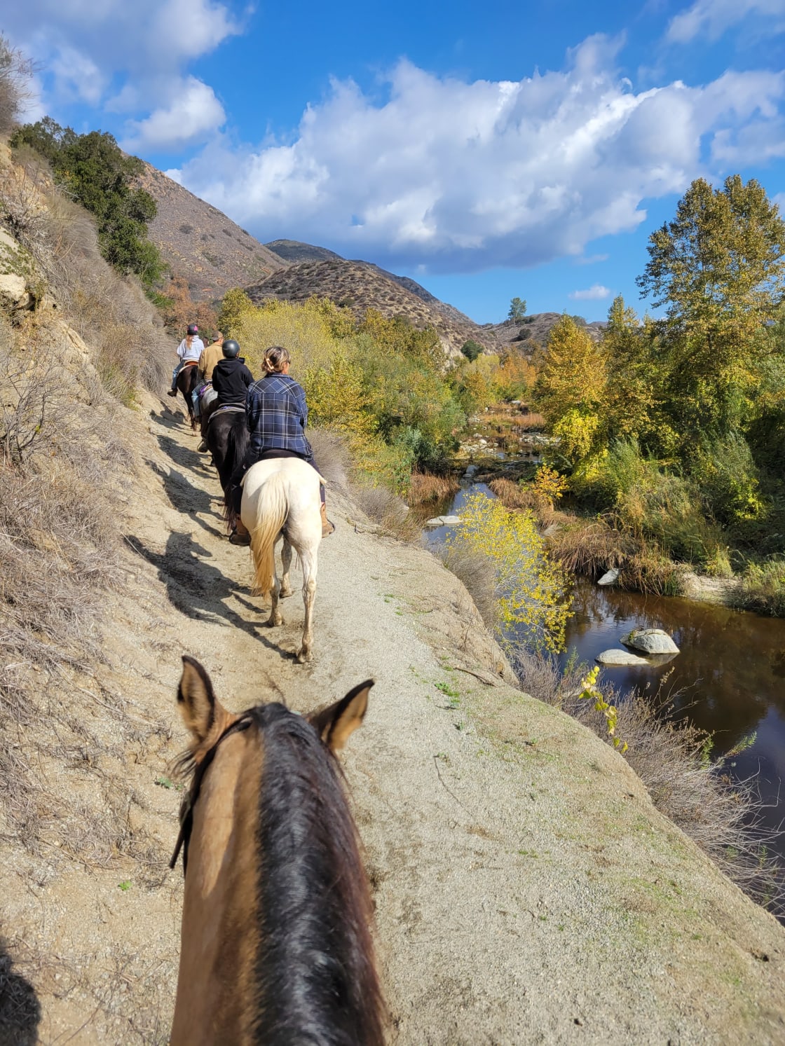 Horsetel River Trails Retreat
