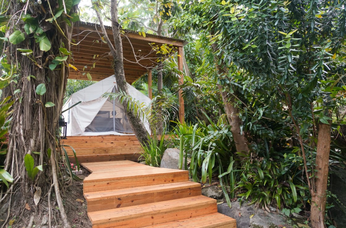 Casa Parcha Glamping Experience