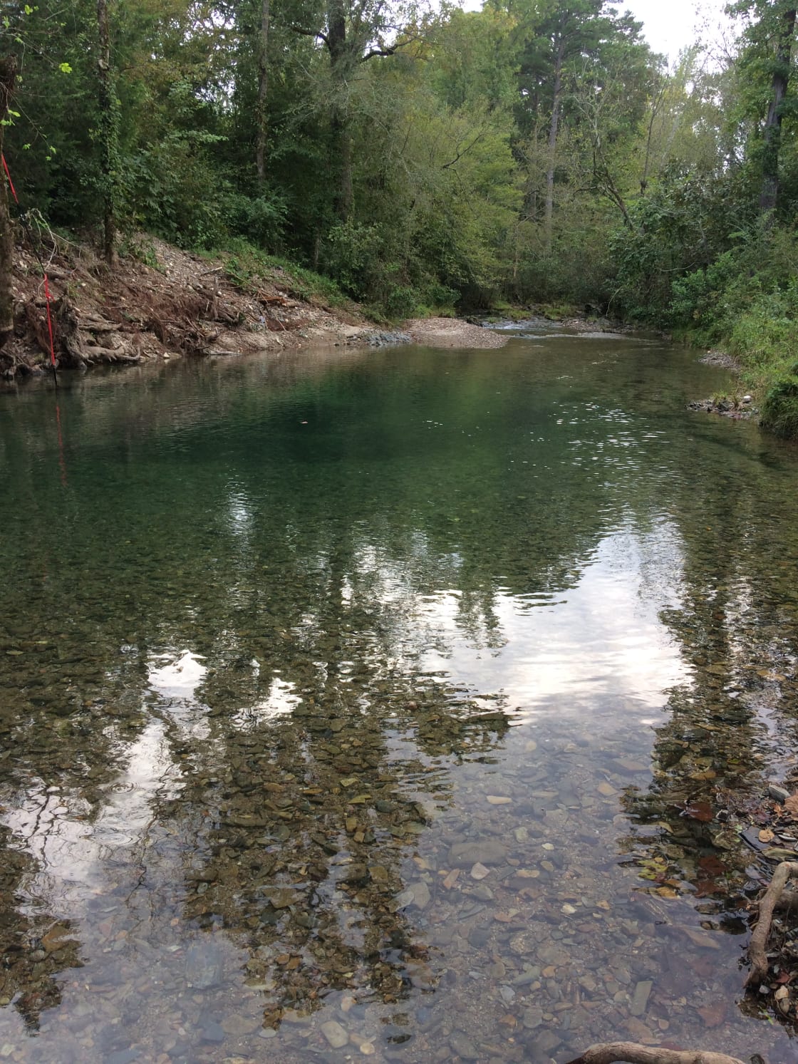 Shirley Creek front swimming hole across road and entrance to property 