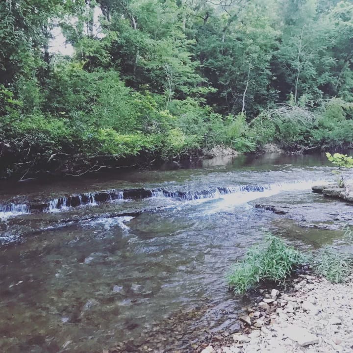 Swan Creek Serenity