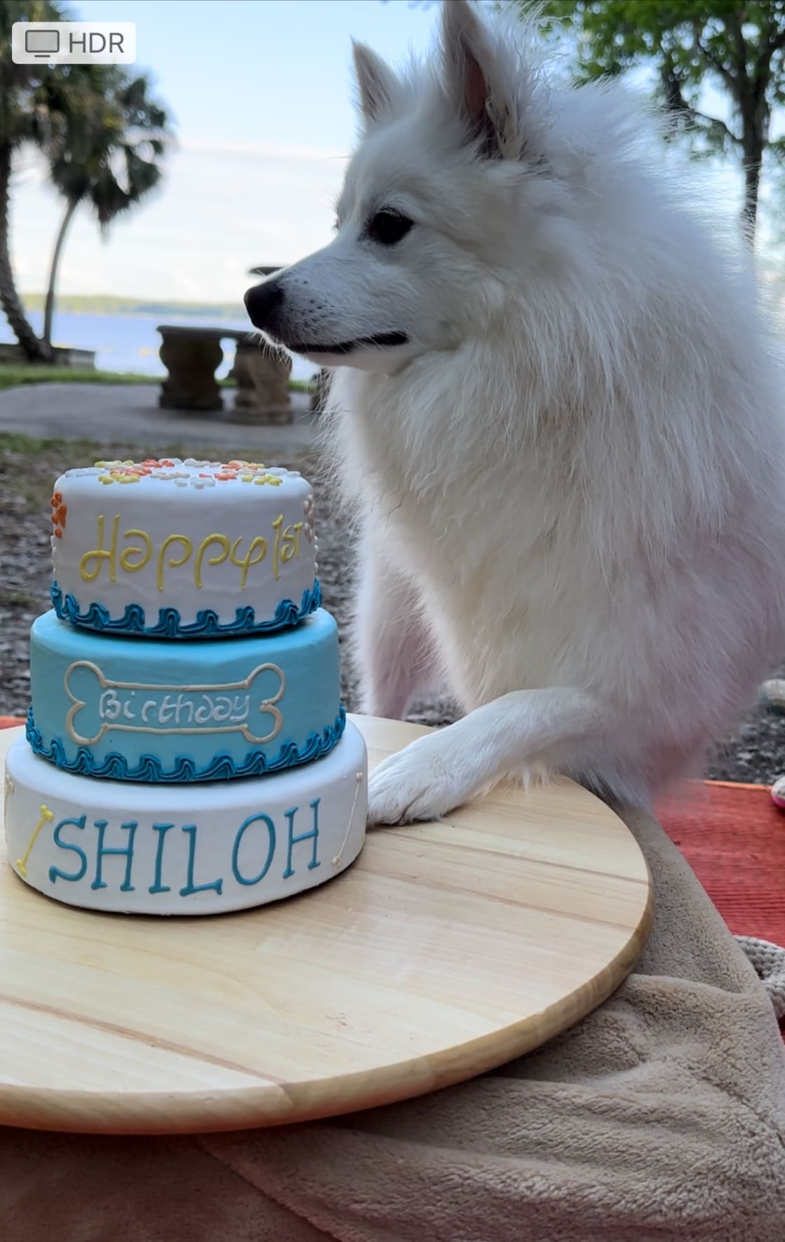 Birthday party for Shiloh @ the lake!