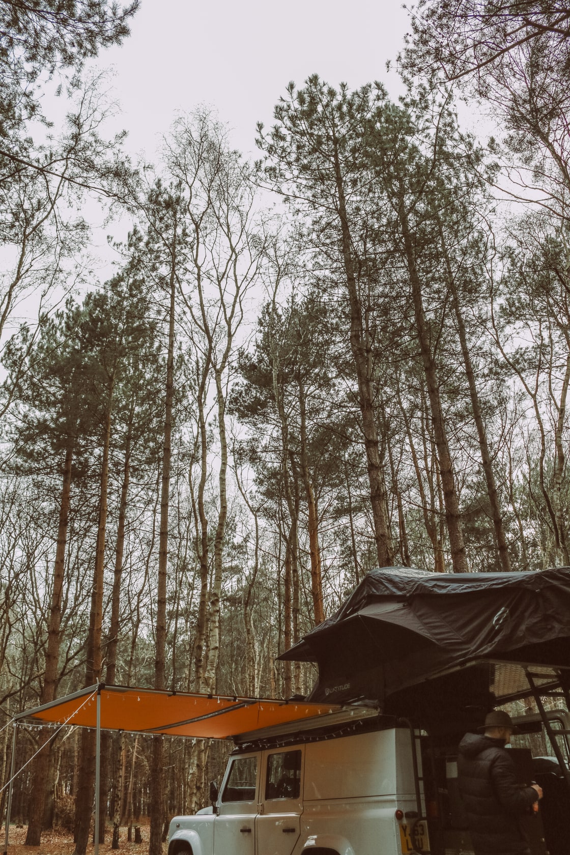 Holistic Woods Campsite WILD