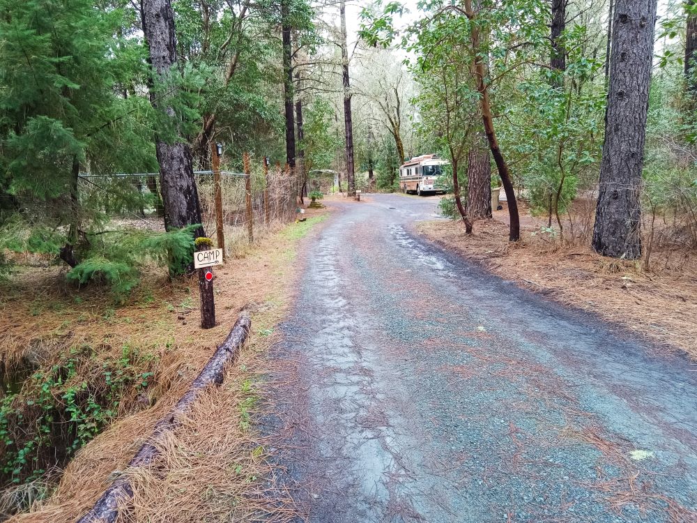 Driveway into Camp - Fenced orchard on left.  Turn RIGHT in front of bus..