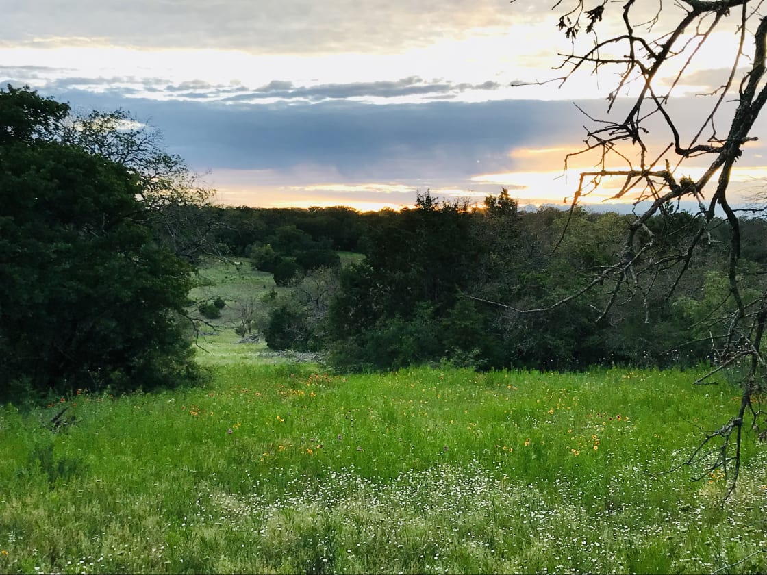 Mockingbird Meadows