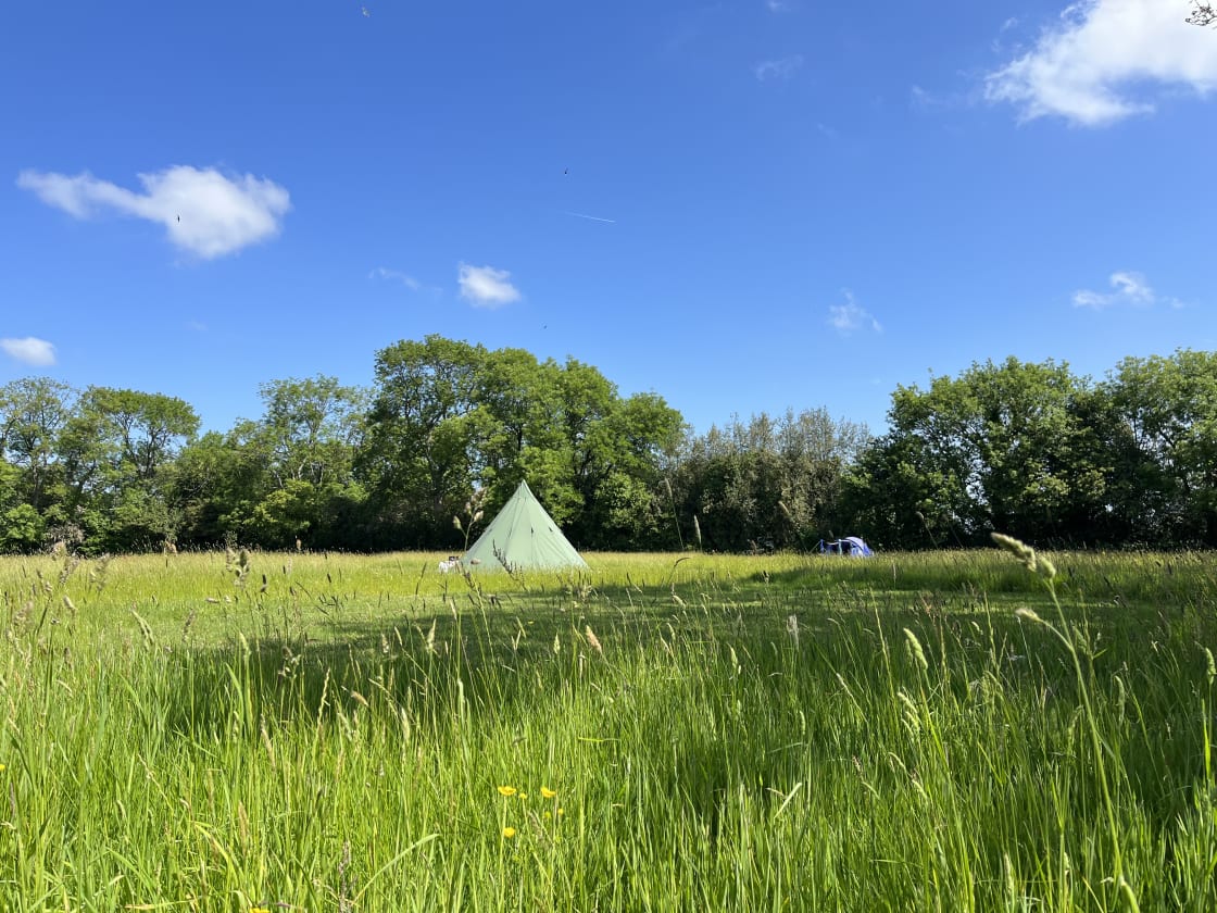 Knowle Meadow Camping