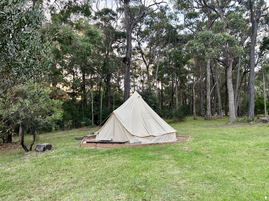Camping at Bermagui