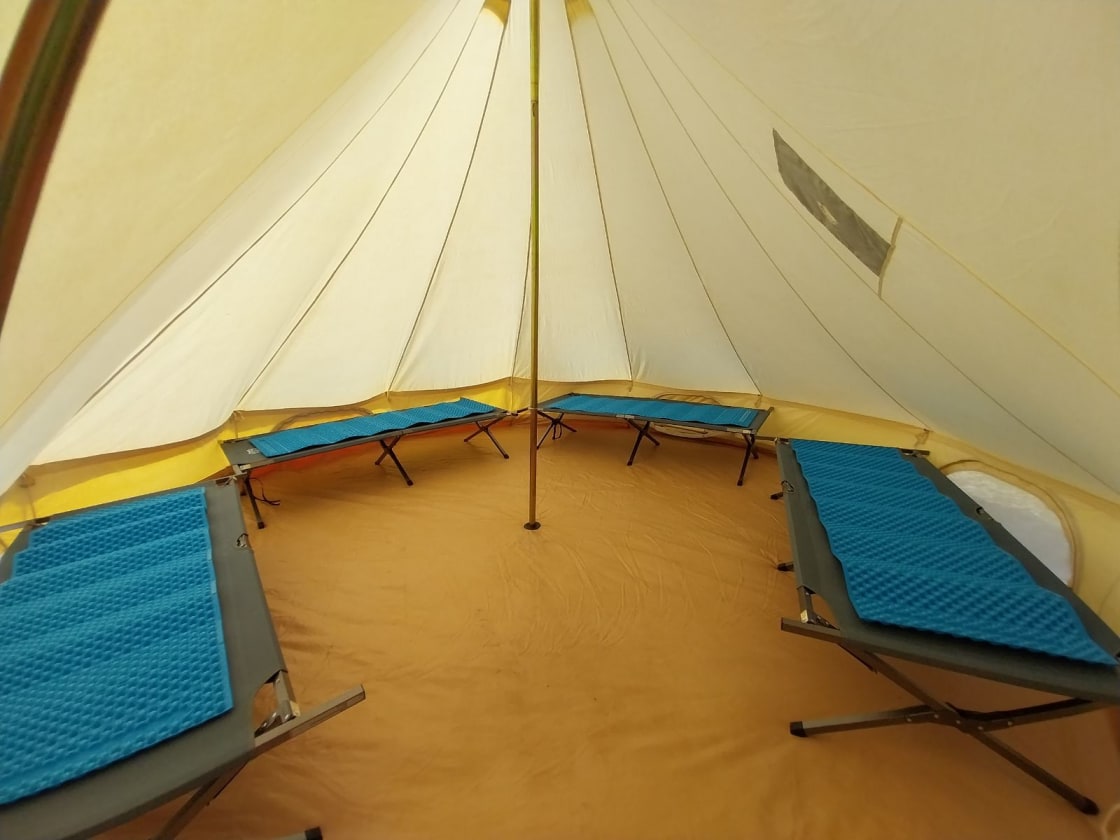 Inside of the Bell Tent. Cots are included as a part of your stay. If you would like sleeping pads they can be rented from the Camp host